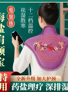 臻宛艾电加热盐包肩颈腰部通用艾灸热敷护颈椎理疗袋肩颈热敷披肩