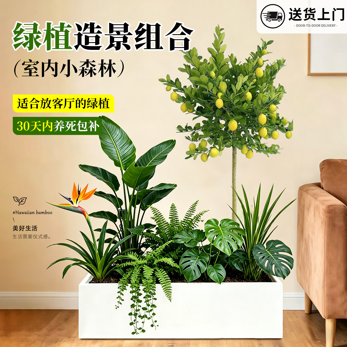 大型绿植成品组合盆栽室内客厅
