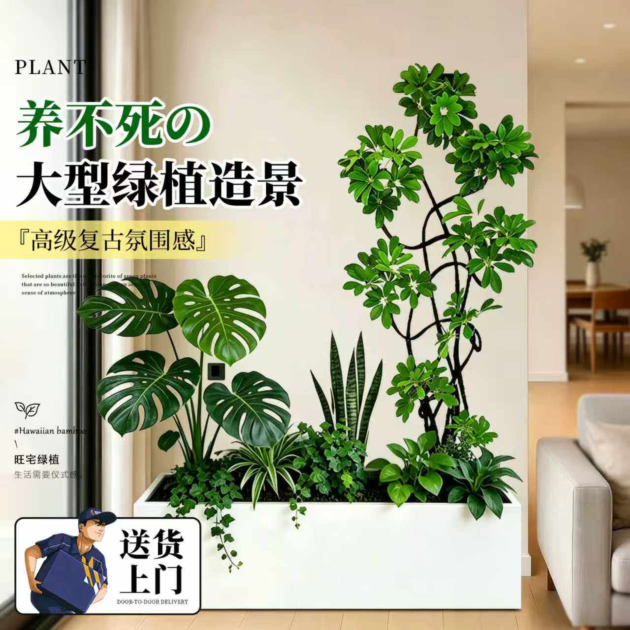 大型真绿植组合造景商场餐厅饭店隔断绿植物景观大树室内装饰摆件