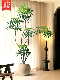彷真绿植孔雀木轻奢客厅落地摆件彷生植物盆景室内沙发旁大型盆栽