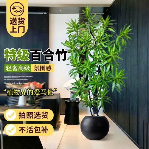 会摆造型的百合竹客厅绿枝高级感