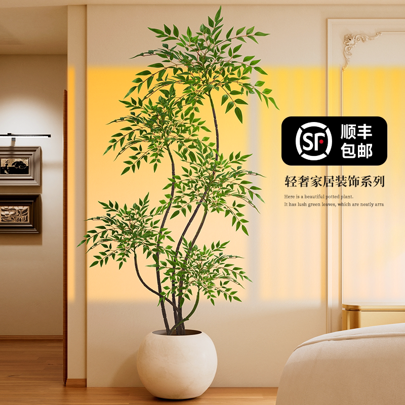 南天竹真树盆栽客厅大型绿植造型火焰老桩办公室内客厅好养落地景,家居饰品,仿真植物盆景,淘宝优惠券,粉丝福利购,淘宝优惠卷