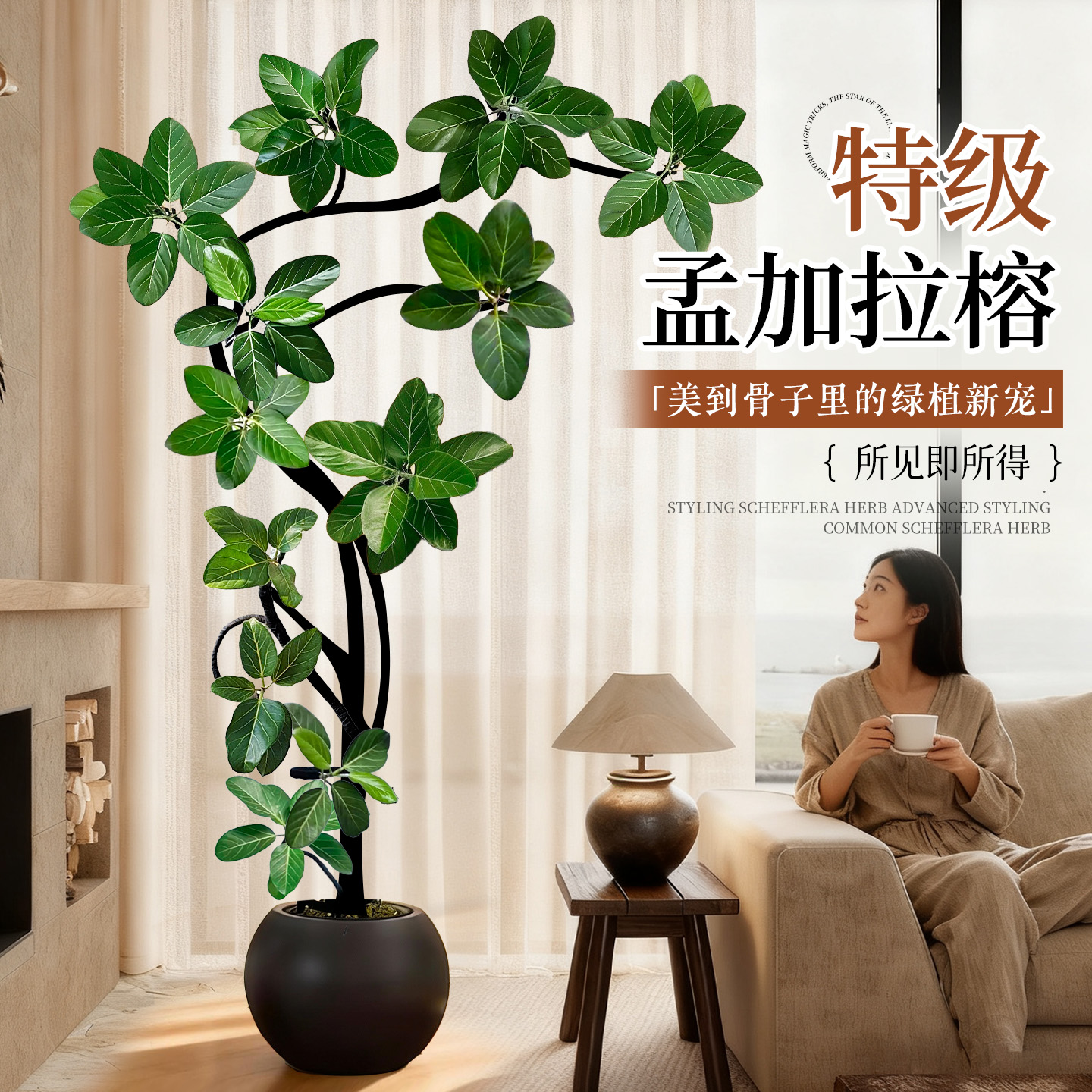 造型孟加拉榕树客厅绿植高级感