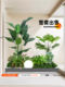 模拟绿色植物造景组合阳台窗饰模拟植物造景布置入口大厅室内氛围
