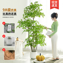 南天竹仿真植物落地盆栽室内大型仿生绿植摆件客厅轻奢装饰花假树