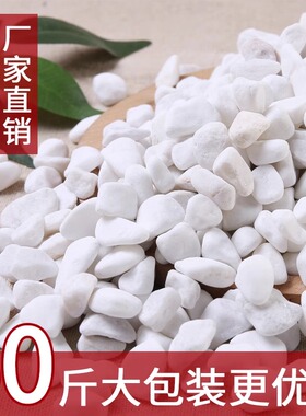盆栽白色石子石头大鹅卵石庭院铺路铺地小白石头造景景观白石子