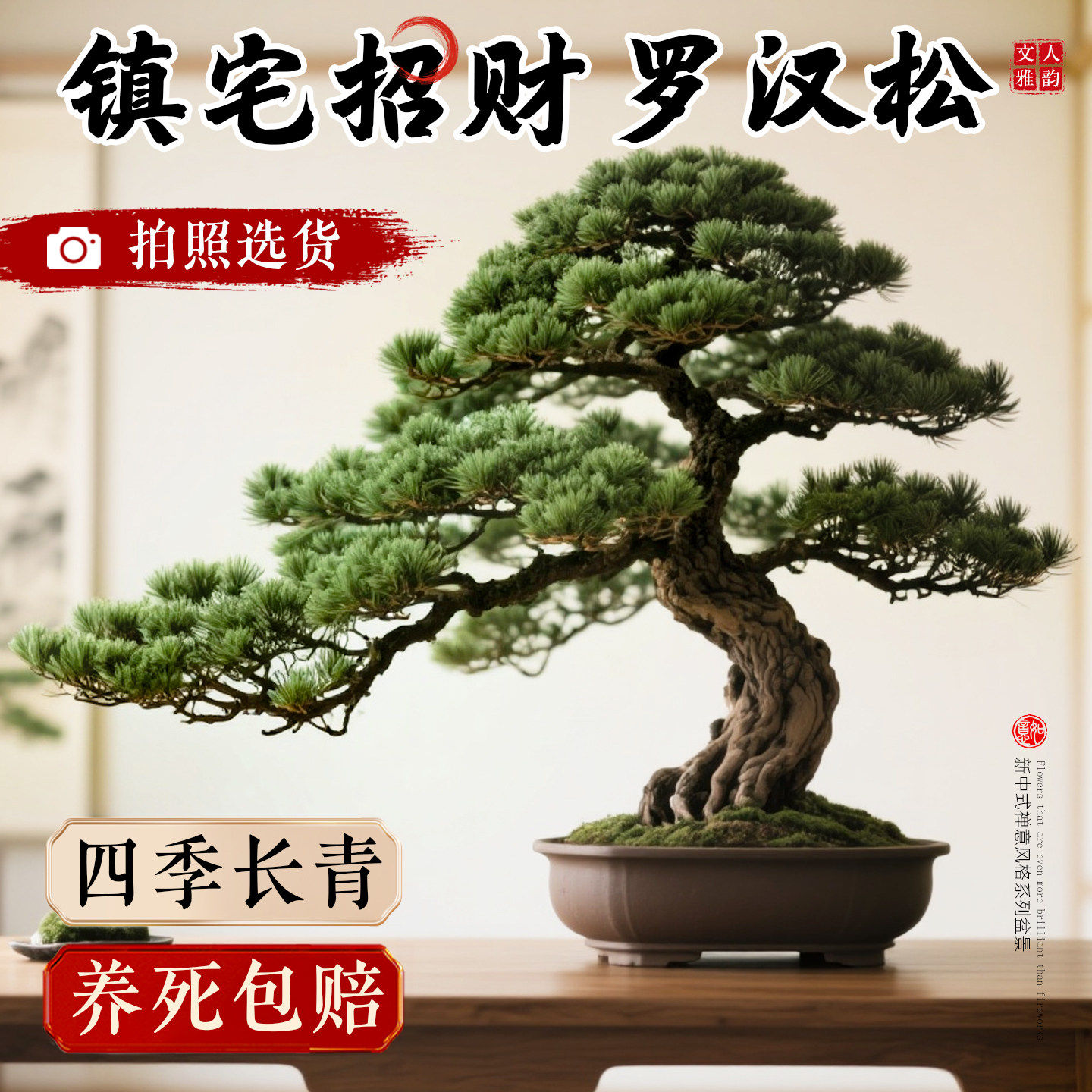 特大罗汉松盆景落地迎客松真树庭院造型老桩旺宅风水树室内外好养