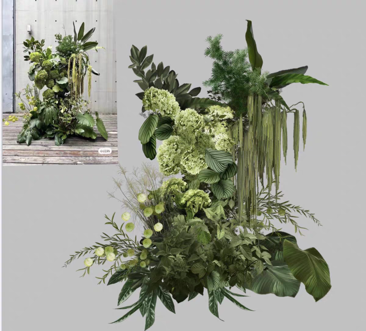 小众绿色植物野生绣球绿植婚礼花艺psd源文件素材t 209