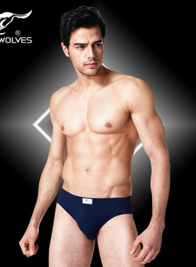 包邮七匹狼2条装盒装内裤 03299全棉纯色中腰三角裤 纯棉男士短裤