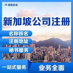 代办新加坡公司注册营业执照申请 海外公司股东董事名称更名办理