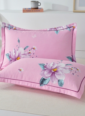 （一对装）刺绣款亲肤水洗棉枕套信封枕成人单人4874枕头套枕芯套