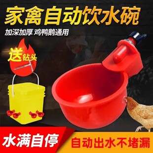 养鸡用自动饮水器鸡鸭鹅饮水碗喝水碗鹌鹑家禽鸟鸽子喂食神器养殖