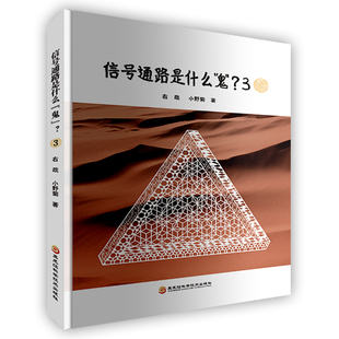 信号通路是什么