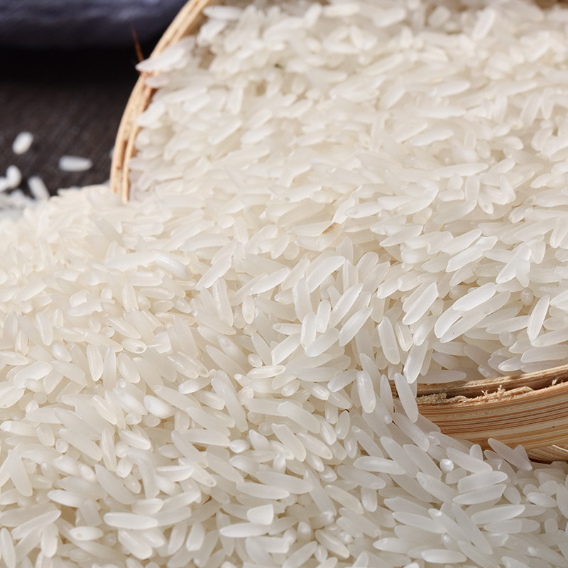 广东长乐鲜米煲仔饭专用米优质新米长粒香米富硒大米5kg袋装寿司