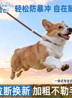 小狗狗牵引绳防爆冲p绳狗链遛狗绳中大型犬柴犬柯基防挣脱拴狗绳