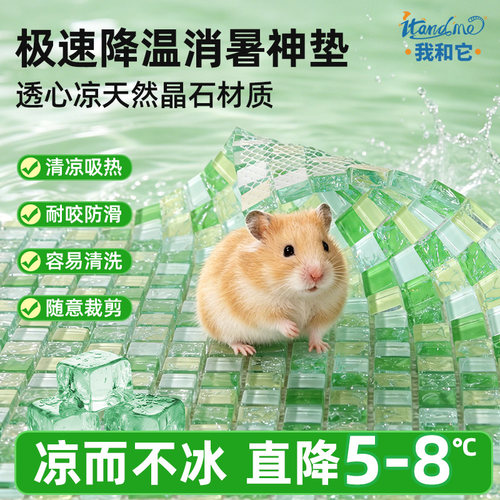 仓鼠豚鼠冰垫夏天降温板神器冰窝兔子凉席金丝熊专用夏季散热冰屋