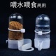 鸟用饮水器鸽子八哥鹦鹉自动喂食喂水下料水槽食盒鸟具用品喝水