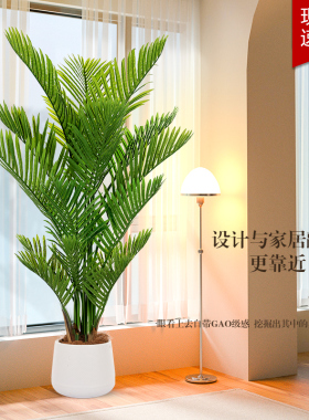 散尾葵彷真绿色植物高端轻奢彷生植物室内客厅北欧装饰造景假盆栽