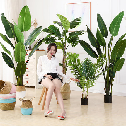 仿真绿植天堂鸟室内盆栽大型仿生植物假南天竹客厅摆件装饰落地树