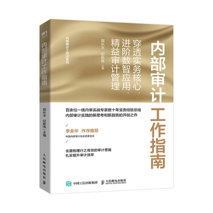 进阶数智应用 内部审计工作指南：穿透实务核心 全新正版 社 精益审计管理9787115593740人民邮电出版