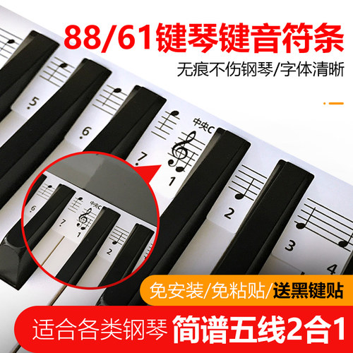 五线谱音符卡免粘贴电钢88/61键