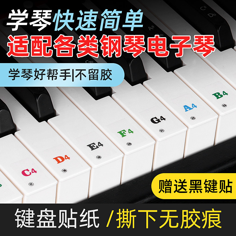 音名唱名88键61键54键初学自学透明贴钢琴电电子琴键盘贴纸考级