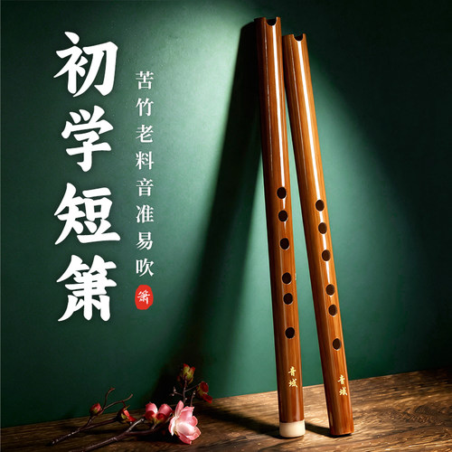 初学零短箫乐器六孔F调萧笛