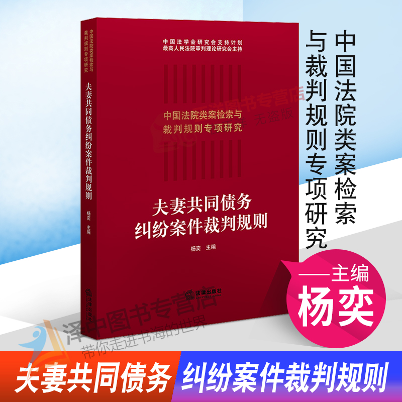 2021新 夫妻共同债务纠纷案件裁判规则 中国法院类案检索与裁判规则专项研究 夫妻债务经济纠纷审判案例司法实务工具书 法律出版社