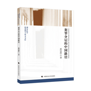 郝冠揆著 法律书籍 司法实践 程序 犯罪分层 中国路径 设计 犯罪学 刑事法学 刑事政策 2021新书 未完成形态 刑罚目 处罚