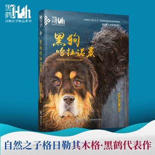 黑狗哈拉诺亥精品系列黑鹤动物文学小说小学生三四五六年级课外阅读书目9-12岁儿童读物格日勒其木格故事图书籍老师寒暑假推荐正版