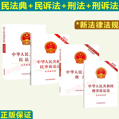 刑法+民法典+刑诉法+民事诉讼法