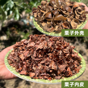 迁西板栗内皮生栗子壳新鲜板栗内皮外壳自然晾干油栗皮大量供应