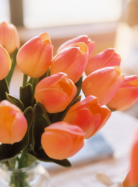 仿真花郁金香保湿摆件