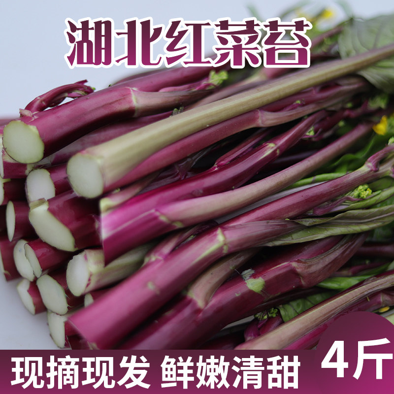 顺丰冷链 2022新上市湖北现摘菜心红菜苔新鲜蔬菜紫菜苔洪山菜苔在类目 水产肉类/新鲜蔬果/熟食, 新鲜蔬菜/蔬菜制品, 新鲜蔬菜, 其它中 - 来自Buy2taobao.com提供专业的淘宝代购服务