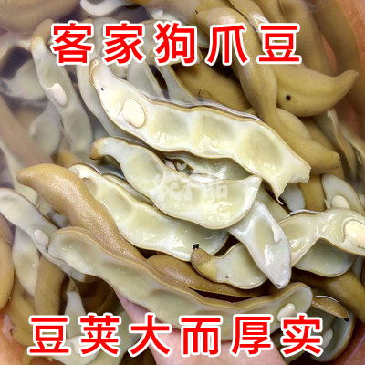 狗爪豆梅州客家特产新鲜虎老豆虎爪豆龙爪豆猫爪豆已泡水真空包邮