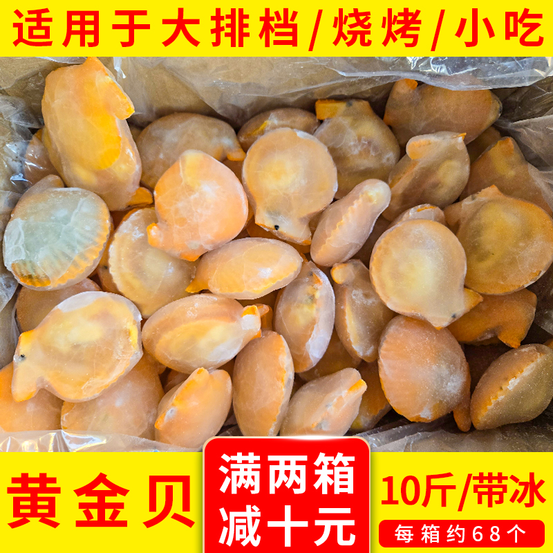 冷冻黄金贝干水大号黄金扇贝新鲜半壳海鲜贝清蒸烧烤粉丝扇贝商用