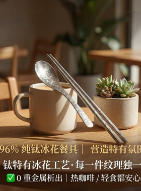 纯钛筷子高颜值家用防霉冰花工艺筷子一人一双单人装儿童勺子套装