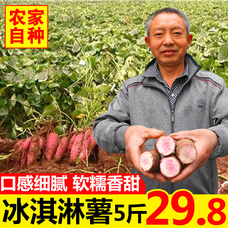 一点红番薯新鲜农家自种粉沙地冰淇淋花心紫薯冰激凌红薯地瓜5斤|msdalam kategori daging perikanan/Buah-buahan segar dan sayur-sayuran/dimasak, sayur-sayuran segar/Vegetable Products, sayur-sayuran segar, ubi keledek - dari Buy2taobao.com untuk memberikan perkhidmatan ejen Taobao profesional membeli