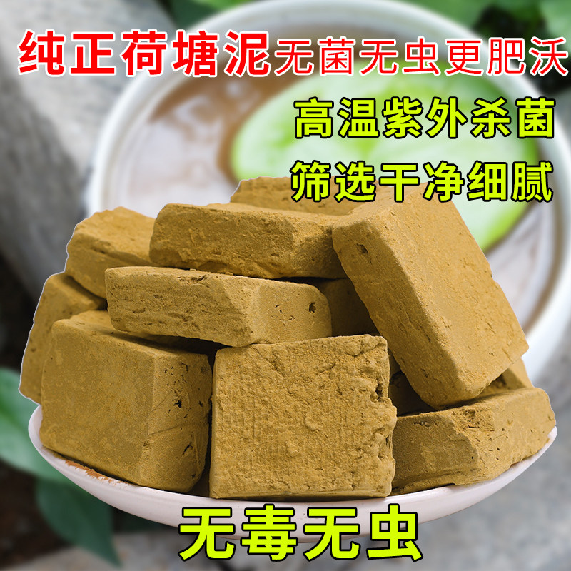 荷塘泥碗莲睡莲天然纯正塘泥荷花无机肥