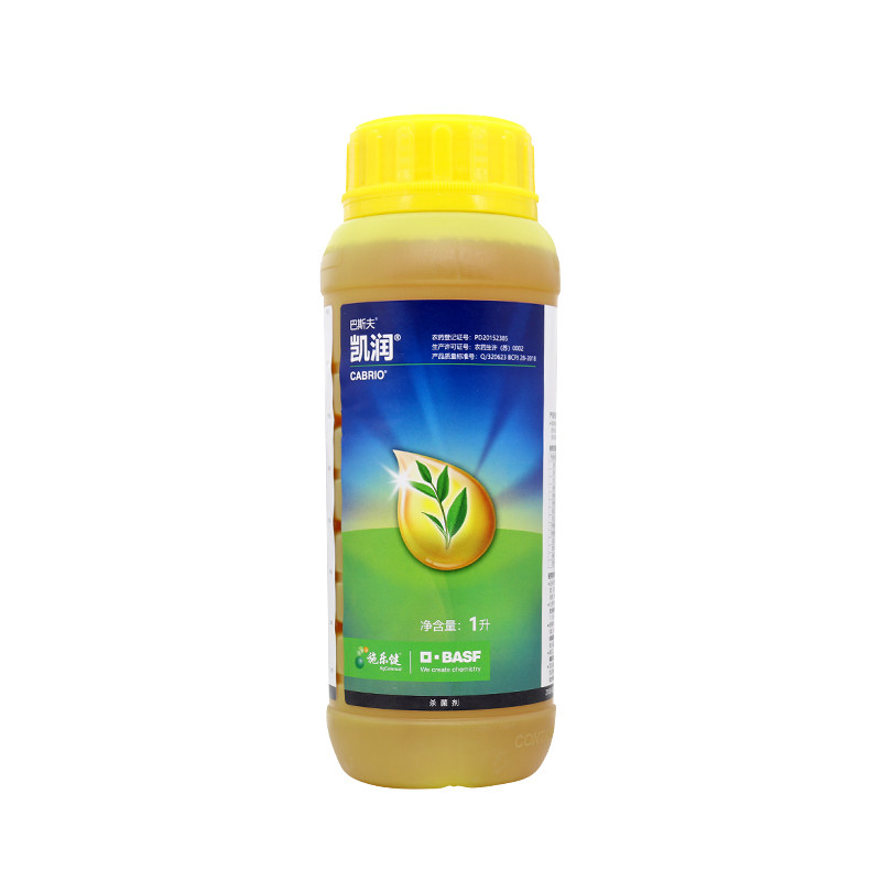 巴斯夫凯润 吡唑醚菌酯嘧菌脂 黄瓜霜霉白粉病大豆叶斑病 杀菌剂