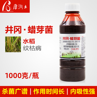 一整箱银收成井冈蜡芽菌井冈霉素水稻纹枯病云纹病专用农药杀菌剂
