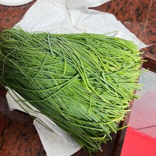 顺丰酒店饭店专用新鲜沙葱宁夏沙葱胡葱沙葱嫩葱下饭菜非甘肃民勤