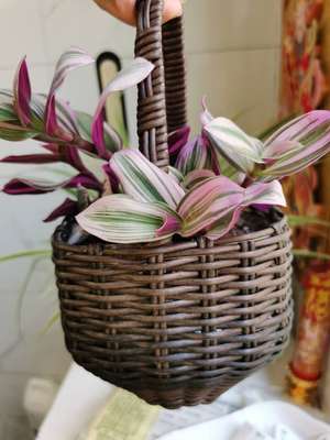 diy仿真手工编织花盆藤条