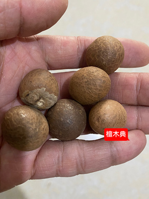 diy手串毛衣链钥匙扣星月菩提