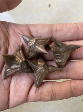 灰色鬼角菩提子原籽散珠DIY珠 天然四角两角车挂件饰半成品珠子