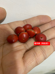 天然红木鱼菩提子原籽 DIY配珠项链钥匙扣配珠散珠单颗