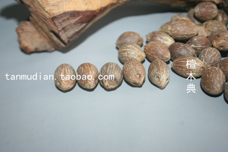 天然紫金鼠菩提籽 鼠菩提子原籽散珠手串手链文玩配珠批/发