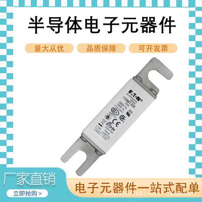 全新巴斯曼快速熔断器170M1308/170M1309/170M1310/170M1311