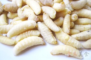 包邮新生鲜蜂蛹 新鲜蜂蛹虫 特级马蜂蛹 胡蜂 非活体 包邮 500g