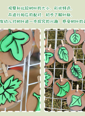 幼儿园中大班环创春天绿落叶子配对植物角墙面装饰区域投放材料